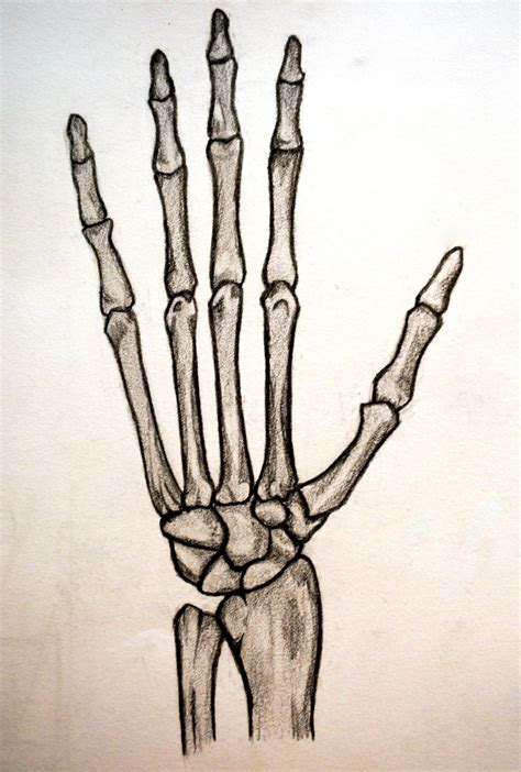 Learn how to draw a Skeleton Hand real easy with step by step instructions from Shoo Rayner, the author of Everyone Can Draw - the book that teaches you how ...